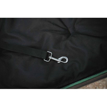 Kopie von 2in1 Hundebuggy und Fahrradanhänger ACTIVE ONE