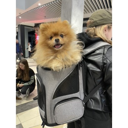 Pet backpack carrier MAXICARRY