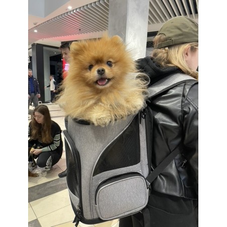 Pet backpack carrier MAXICARRY