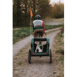2in1 Bike trailer and pet stroller ACTIVE ONE