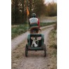 2in1 Bike trailer and pet stroller ACTIVE ONE