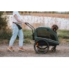 2in1 Bike trailer and pet stroller ACTIVE ONE