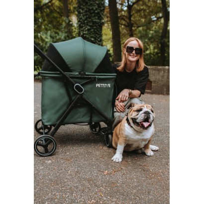 2in1: Hund Buggy  oder Katzenwagen B.RIDER bis 30kg + floor