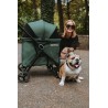 2in1: Hund Buggy  oder Katzenwagen B.RIDER bis 30kg + floor