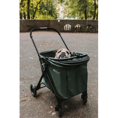 2in1: Hund Buggy  oder Katzenwagen B.RIDER bis 30kg + floor