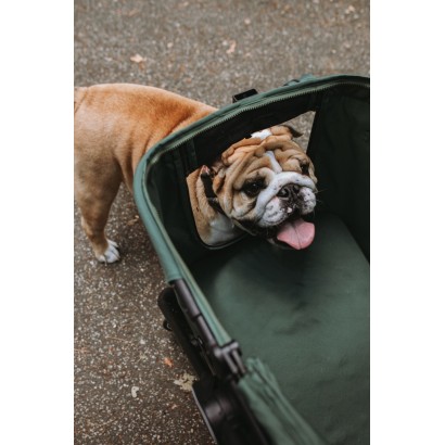 2in1: Hund Buggy  oder Katzenwagen B.RIDER bis 30kg + floor