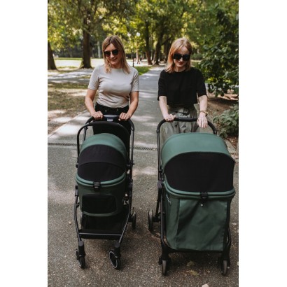 2in1: Hund Buggy  oder Katzenwagen B.RIDER bis 30kg + floor